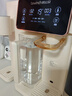 碧云泉G3智能家用制冷加热一体台式净饮冰水矿物质水免安装自来水反渗透过滤器泡奶即热净饮机 G3c-伊斯:冰水版 实拍图
