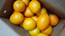 集南鲜 赣南脐橙 江西橙子新鲜现摘水果脐橙时令生鲜水果甜橙 水果礼盒 彩箱10斤特级橙  单果220g+ 净重9斤 推荐 实拍图