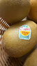佳沛（zespri）新西兰 阳光金奇异果12粒礼盒特大果单果约122-146g 猕猴桃 水果 实拍图