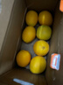 京鲜生国产阳光玫瑰净重4.5斤单果13g 葡萄/提子生鲜水果源头直发包邮 实拍图