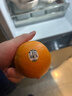 新奇士（Sunkist） 澳洲黑标晚熟脐橙4斤礼盒装 单果180g起 生鲜水果礼盒 实拍图