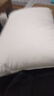 康尔馨希尔顿五星级酒店枕头 抗菌纯棉纤维枕成人家用单人枕头芯 白色 中高枕(74*48cm) 单只 实拍图