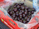 甜萌果蔬智利车厘子【JD顺丰多地次日达】新鲜进口水果现货大樱桃礼盒 3斤(净重) 【80%选择丨很划算】礼盒装 【臻品级】巨无霸｜3J 30-32mm 实拍图