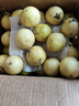 鲜青录广西黄金百香果钦蜜9号新鲜水果黄色白香果西番莲鸡蛋果 划算5斤中果（单果60-70g） 实拍图