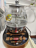金灶（KAMJOVE） 煮茶器喷淋式全自动煮茶壶 玻璃养生壶烧水壶蒸煮一体恒温电热水壶冲泡茶煮花茶黑茶A-99 全自动喷淋煮茶壶 0.8L 实拍图