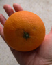 京鲜生 爱媛果冻橙 5斤装 单果150g起 生鲜水果礼盒 实拍图