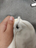 咕咕象（guguxiang）袖套女冬季套袖工作防脏可爱护袖学生儿童短款手袖羽绒服袖头 白色1双（31906) 普通款 实拍图