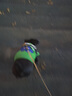 MIKI PAD狗狗衣服春秋薄款背心猫咪衣服宠物毛衣中小型犬比熊泰迪雪纳瑞 萌趣云朵毛衣 M 胸围38cm(参考体重7-10斤) 实拍图