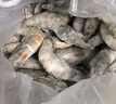 北海湾 虾 青岛大虾鲜活冷冻基围虾 虾类 海鲜水产生鲜白虾青虾海虾对虾 盐冻大虾 3.3斤(净重)  16-18cm【单只冻 特大虾】 实拍图