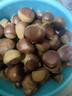 【东东农场专供】25年丹东新板栗生板栗炒菜专用新鲜蔬菜生鲜 25年新下树 2斤 送栗爪 实拍图