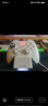北通鲲鹏20无线游戏手柄智控双切扳机震动蓝牙手柄xbox电脑PC手机steam电视NSswitch2体感原神宝可梦ZA 实拍图