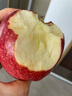 京鲜生 甘肃天水花牛苹果 又大又红 净重4斤装 单果200g起 新鲜水果  实拍图