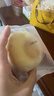 港荣蒸蛋糕纯鸡蛋原味900g早餐面包零食西式糕点纯蛋糕甜品礼品盒物箱 实拍图