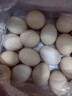 京鲜生【每日鲜蛋】无抗谷物鸡蛋30枚3.78斤 当日产蛋 当日发货 实拍图