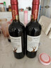 福蒂特娜【买1箱送1箱】智利原瓶进口金奖红酒整箱干红葡萄酒 送礼礼盒装 中央山谷产区2箱共12瓶 实拍图