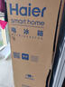 海尔（Haier）202升双门两门冰箱风冷无霜三温区独立式小型黑金净化抗菌净味保鲜租房BCD-202WGHC290S9 实拍图