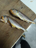 三都港 冷冻海捕小黄鱼700g 24-29条 黄花鱼 海鱼 生鲜鱼类 实拍图