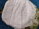 babycare金山茶花拉拉裤XL34片(12-17kg)婴儿尿不湿超薄透气新生柔花苞裤 实拍图