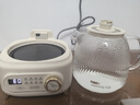 九阳（Joyoung）净萃全玻璃0胶水养生壶  办公室多功能煮茶器花茶壶 烧水壶恒温电热水壶 24h预约保温 1L WY107 实拍图