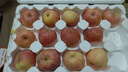 京鲜生山东烟台红富士苹果 5斤装单果75-80mm生鲜水果 源头直发 包邮 实拍图