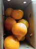 万春寨正宗永春芦柑5斤/10斤礼盒装新鲜现摘橘子柑桔 桔子当季水果大果 【香甜微酸】果径70mm礼盒（净重4.5斤）5斤装 实拍图