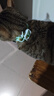 欢宠网猫咪驱虫项圈狗狗猫宠物狗猫圈除跳蚤猫猫幼猫小猫小狗体外去跳蚤 实拍图