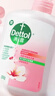 滴露（Dettol）健康抑菌洗手液滋润倍护500g 消毒抑菌99.99% 儿童适用不含酒精 实拍图