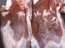 1号会员店M3澳洲安格斯牛腱子(不含腱子芯) 低脂健身 生鲜牛肉 净重2斤 实拍图