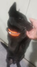 TRUELOVE狗狗项圈小中大型犬脖圈防勒泰迪金毛透气舒适反光宠物脖圈狗圈 桔色（不含牵引绳） M【40-45cm】-建议12-22kg选择 实拍图