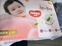 好奇（Huggies）铂金装小桃裤纸尿裤L120片(9-14kg)大号尿不湿【透爽散热】 实拍图