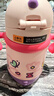 babycare儿童保温杯婴儿宝宝吸管水杯霸王龙不锈钢保温杯300ml-新旧款混发 实拍图