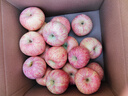 甜醉了 烟台苹果栖霞红富士新鲜水果生鲜山东特产脆甜整箱平果礼盒礼品 净重4.5斤80-85mm 实拍图