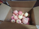 京鲜生 塞外红阿克苏苹果礼盒 净重10斤 果径80-85mm  实拍图