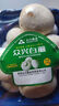 【绿色认证】鲜美白蘑菇230g 实拍图