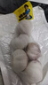 大蒜头出口品质网兜紫蒜蔬菜调料新鲜大果烧烤火锅食材 【精品网兜装】5头装 150g 实拍图
