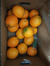 江西赣南早脐橙整箱当季新鲜早橙子榨汁水果礼盒皮薄多汁节日团购 【60%人选】净重18斤单个200g+ 实拍图