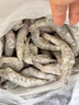 卖鱼郎先生青岛盐冻大虾净重3斤 15-20只/斤 白虾大虾基围虾生鲜 虾类 实拍图