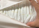 好奇（Huggies）铂金装小桃裤拉拉裤L76片(9-14kg)大号尿不湿【透爽散热】 实拍图