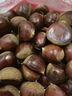 【东东农场专供】25年丹东新板栗生板栗炒菜专用新鲜蔬菜生鲜 25年新下树 6斤 送栗爪 实拍图