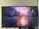 泰坦军团 31.5英寸大屏 2304分区 MiniLED 4K 160Hz 双模320Hz DyDs技术 广色域专业电竞显示器 P326MV MAX 实拍图