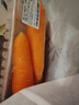 【霜打菜】沙地脆甜胡萝卜约500g  实拍图