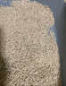 里兜除尘款纯豆腐猫砂低粉尘结团非膨润土可冲厕所2.6kg×12袋 实拍图