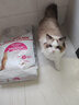 皇家成猫猫粮 肠道舒适 EP42通用粮12月以上10KG 实拍图