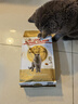 皇家猫粮 英短成猫粮 BS34 通用粮 12月以上 2KG 实拍图