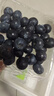 鲜级佳辽宁丹东蓝莓王【多地次日达】新鲜孕妇L25花香蓝莓礼盒怡颗蓝莓 4盒【100g/盒】品质升级-精品果 人工挑选 精品大果【单果14-16mm+】 实拍图