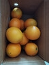 京觅 江西赣南脐橙4.5斤净重橙子单果150g起甜橙新鲜现摘水果源头直发 实拍图