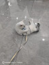 华元宠具（hoopet）猫咪牵引绳溜猫遛猫绳子防挣脱逃背心宠物背带链子可调节外出用品 实拍图