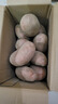 内蒙红皮大土豆新鲜黄心土豆现挖洋芋地蛋马铃薯粉面火锅批发 红皮土豆大果 5斤 【单果150g+】 实拍图