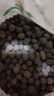 绿盼 陶粒球垫底5L花用园艺水培花盆养花专用颗粒小轻质多肉种铺面石 实拍图