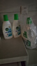滴露（Dettol）衣物除菌液 松木3L 内衣儿童衣物杀菌除螨 衣服洗衣衣物消毒液 实拍图